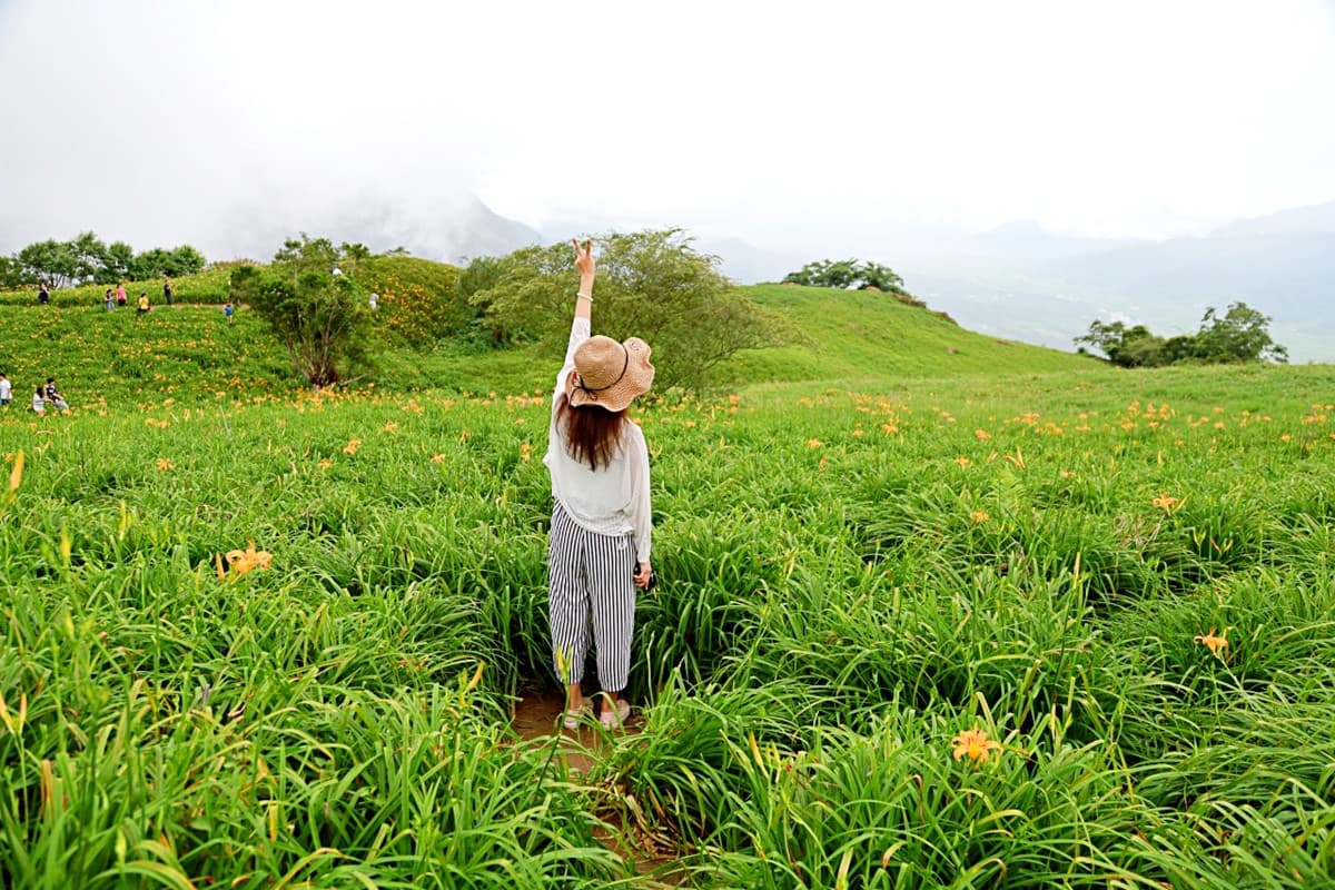 「天使花毯」盛開!花蓮2大金針花美景必拍:六十石山、赤科山 「天使花毯」盛開!花蓮2大金針花美景必拍:六十石山、赤科山