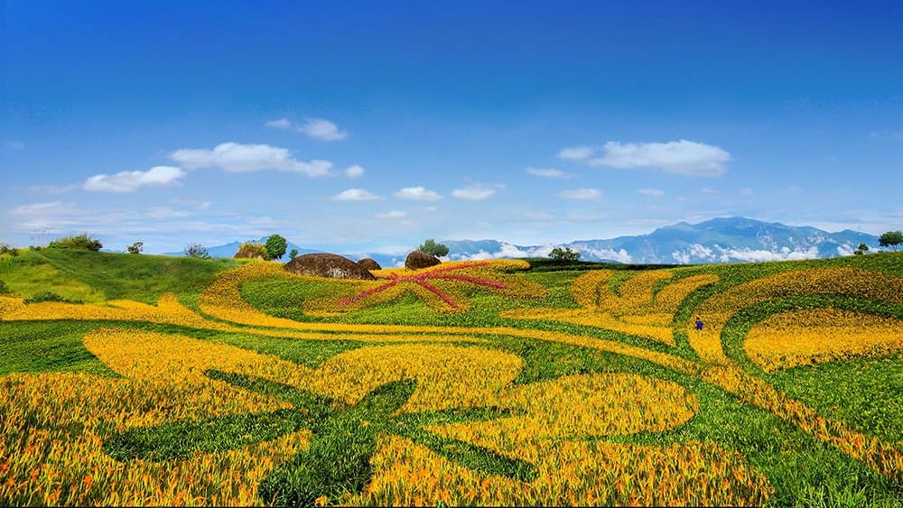 「天使花毯」盛開!花蓮2大金針花美景必拍:六十石山、赤科山 「天使花毯」盛開!花蓮2大金針花美景必拍:六十石山、赤科山