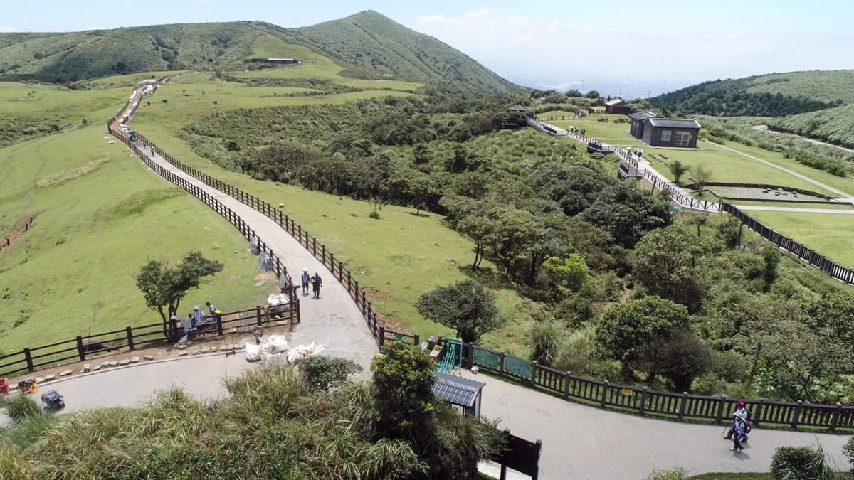 出發看牛牛!陽明山擎天岡「中央步道」重新開放,2階段「人、牛」分開管 出發看牛牛!陽明山擎天岡「中央步道」重新開放,2階段「人、牛」分開管