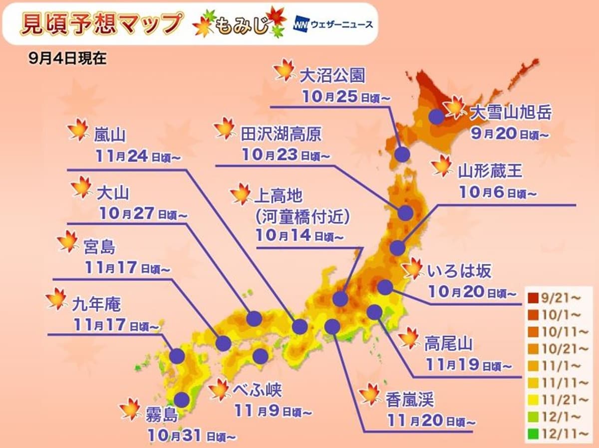 日本「滿開預測」出爐!浪漫秋楓、金黃銀杏,這時拍最美 日本「滿開預測」出爐!浪漫秋楓、金黃銀杏,這時拍最美