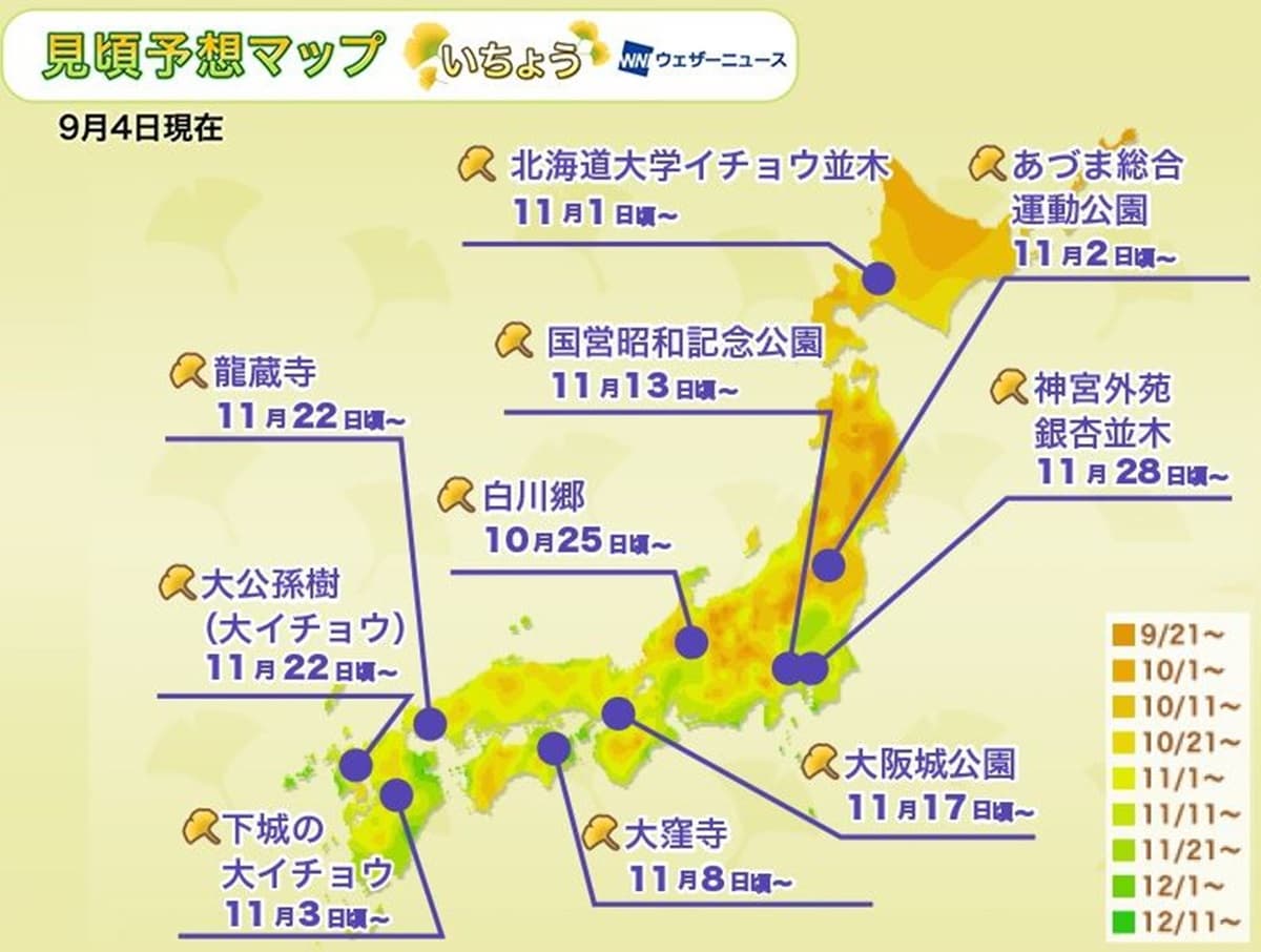 日本「滿開預測」出爐!浪漫秋楓、金黃銀杏,這時拍最美 日本「滿開預測」出爐!浪漫秋楓、金黃銀杏,這時拍最美