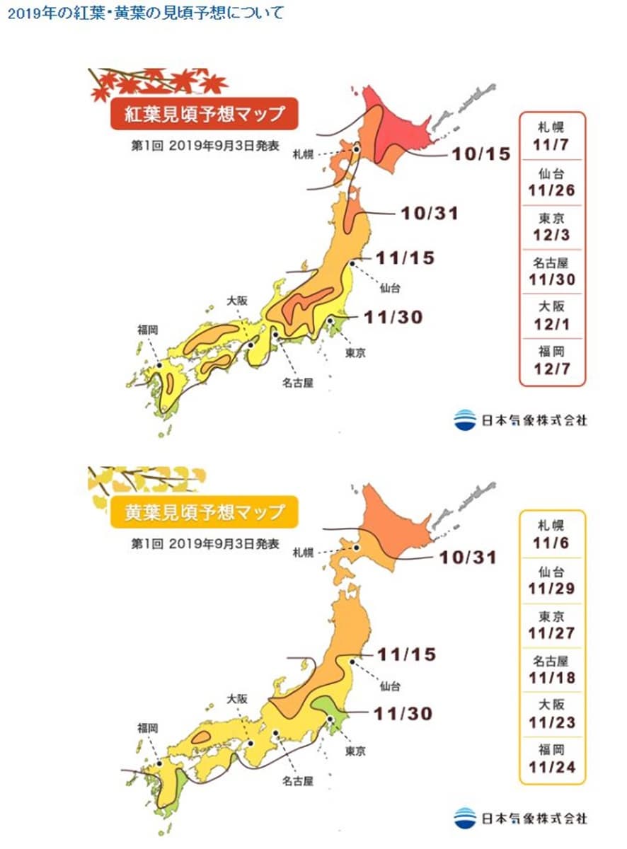 日本「滿開預測」出爐!浪漫秋楓、金黃銀杏,這時拍最美 日本「滿開預測」出爐!浪漫秋楓、金黃銀杏,這時拍最美