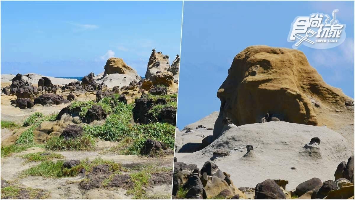 這有像嗎?來找和平島超酷10大守護岩,基隆人的童年回憶不一樣囉 這有像嗎?來找和平島超酷10大守護岩,基隆人的童年回憶不一樣囉