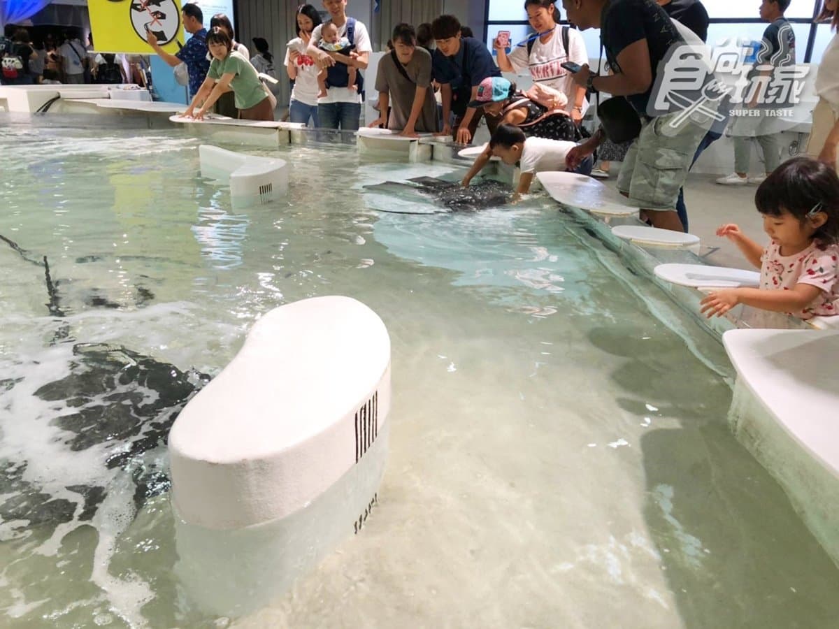 置身在海洋中!世界最大「日本大阪海遊館」,看超萌海豹、鯨鯊+摸魟魚 置身在海洋中!世界最大「日本大阪海遊館」,看超萌海豹、鯨鯊+摸魟魚