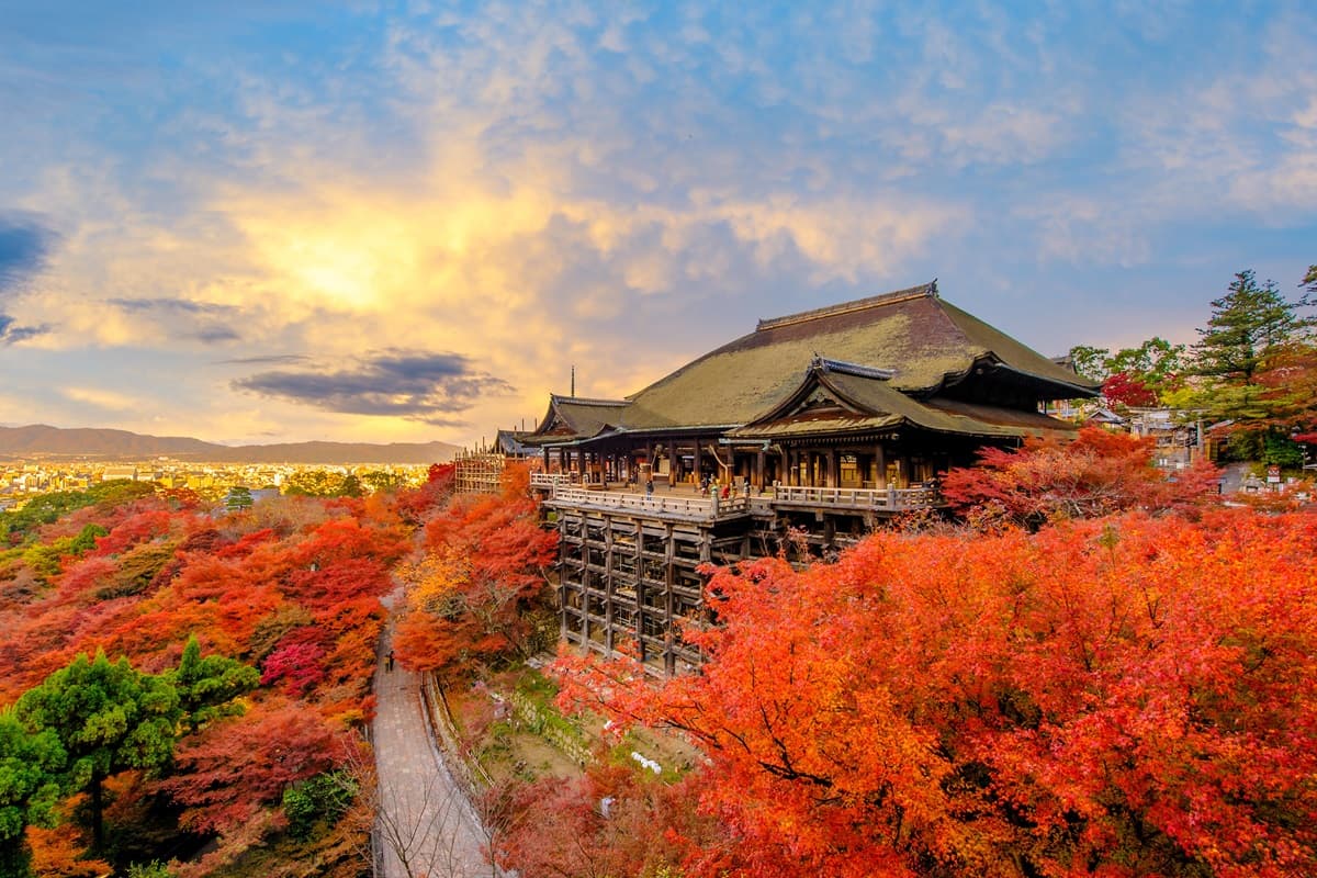 旅日小心撲空!海上鳥居、清水寺、熊本城11大景點整修中,開放時間看這篇 旅日小心撲空!海上鳥居、清水寺、熊本城11大景點整修中,開放時間看這篇