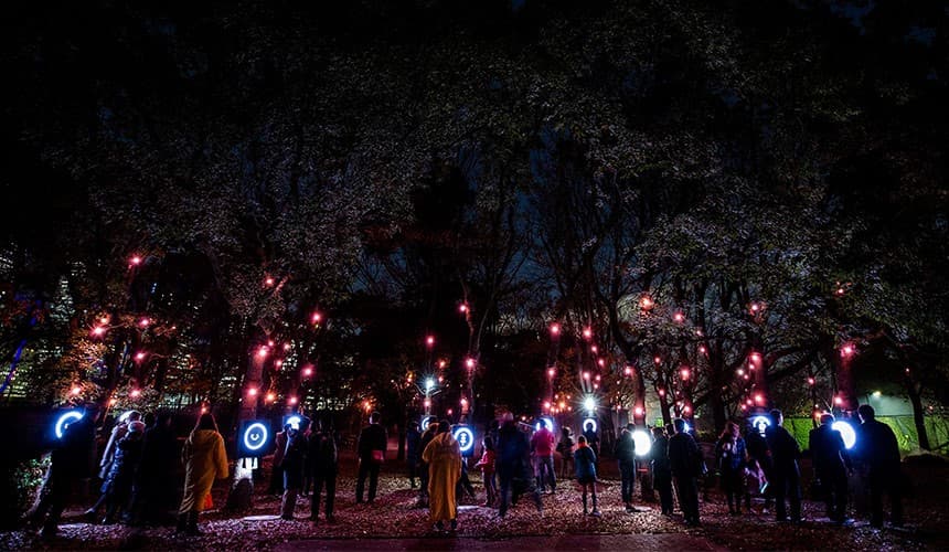 夜遊仙境!日本大阪「SAKUYA LUMINA」夢幻燈光展,整個展區都是IG打卡點 夜遊仙境!日本大阪「SAKUYA LUMINA」夢幻燈光展,整個展區都是IG打卡點