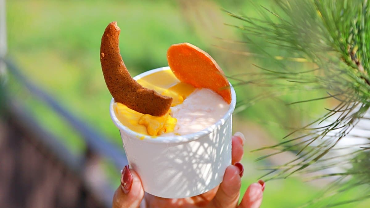 南投IG新打卡點!全台最大紅茶工廠「Hohocha喝喝茶」,免費入園快筆記 南投IG新打卡點!全台最大紅茶工廠「Hohocha喝喝茶」,免費入園快筆記
