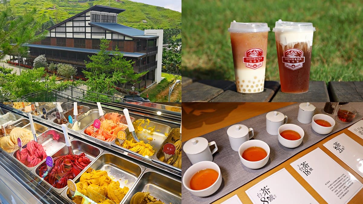 南投IG新打卡點!全台最大紅茶工廠「Hohocha喝喝茶」,免費入園快筆記