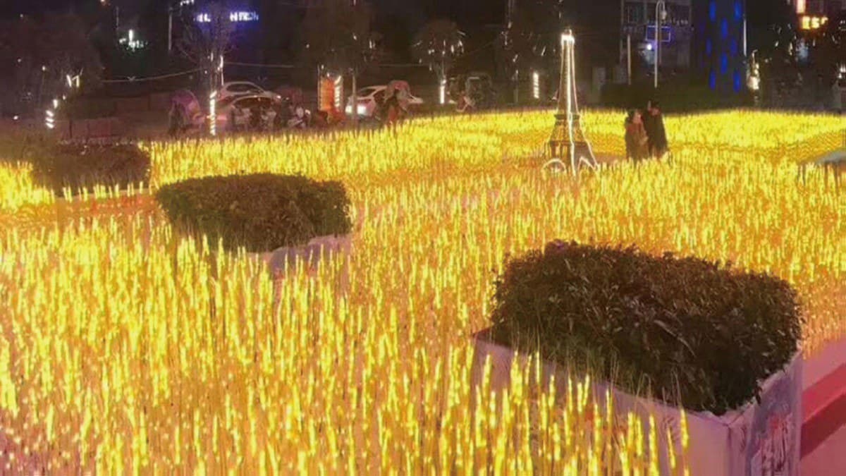 現在去拍最漂亮!秋天限定美景5連發:金黃銀杏、夢幻雲海、發光金針花 現在去拍最漂亮!秋天限定美景5連發:金黃銀杏、夢幻雲海、發光金針花