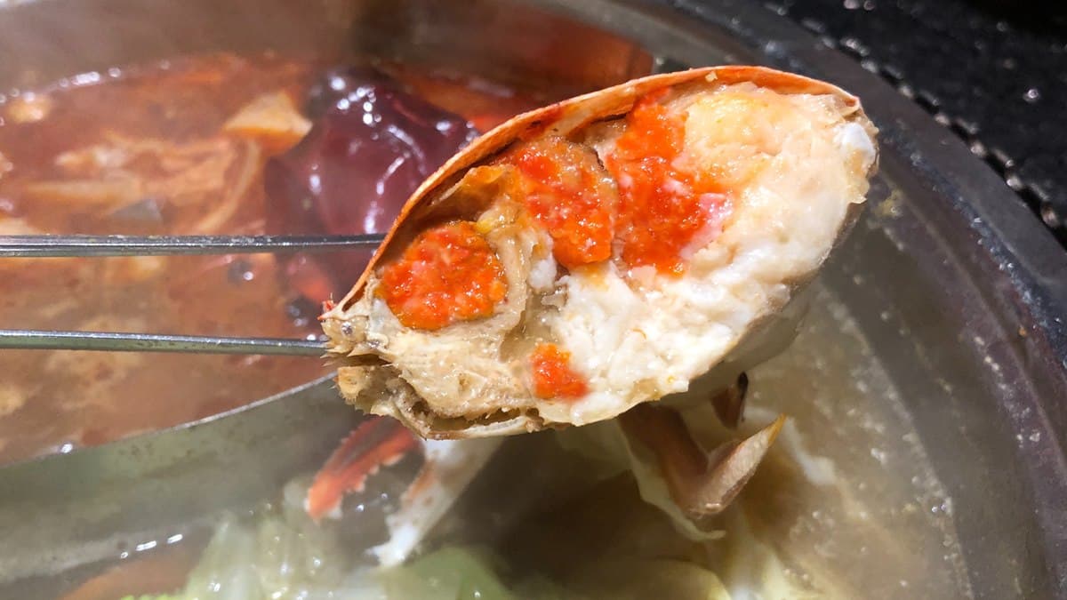 身分證有「8、1、5」快搶!燒肉店中任兩碼送痛風雙寶,加碼Häagen-Dazs吃到飽 身分證有「8、1、5」快搶!燒肉店中任兩碼送痛風雙寶,加碼Häagen-Dazs吃到飽