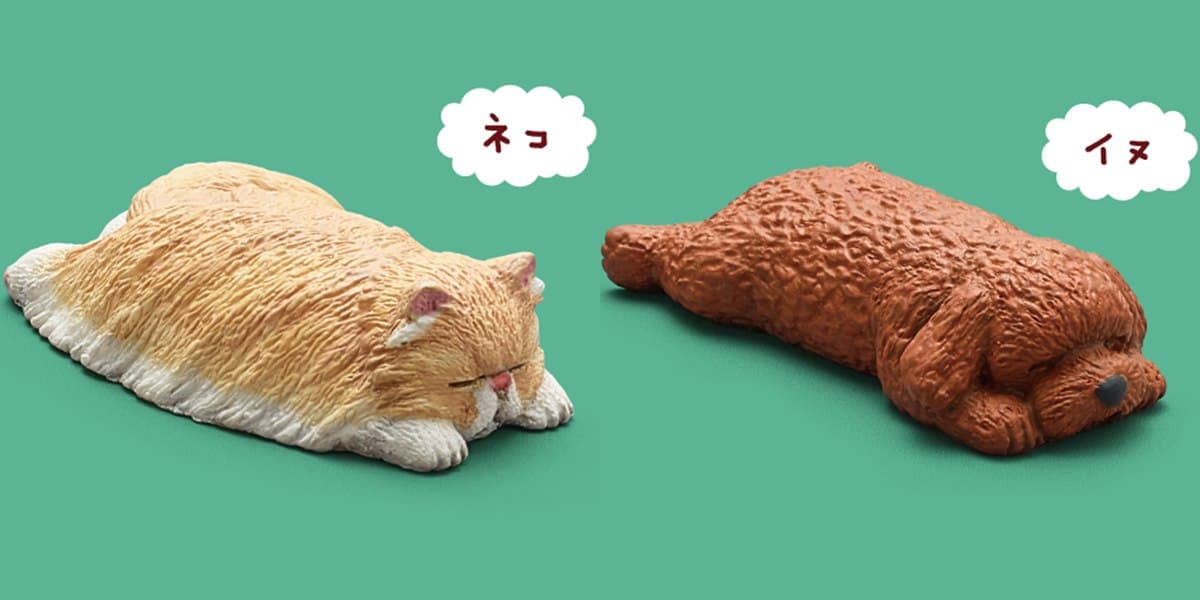 好想跟著睡!最新「休眠動物園公仔」,熊貓之穴派出豬豬、駱駝表演厭世睡 好想跟著睡!最新「休眠動物園公仔」,熊貓之穴派出豬豬、駱駝表演厭世睡