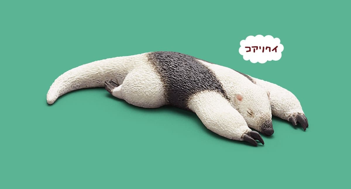 好想跟著睡!最新「休眠動物園公仔」,熊貓之穴派出豬豬、駱駝表演厭世睡 好想跟著睡!最新「休眠動物園公仔」,熊貓之穴派出豬豬、駱駝表演厭世睡