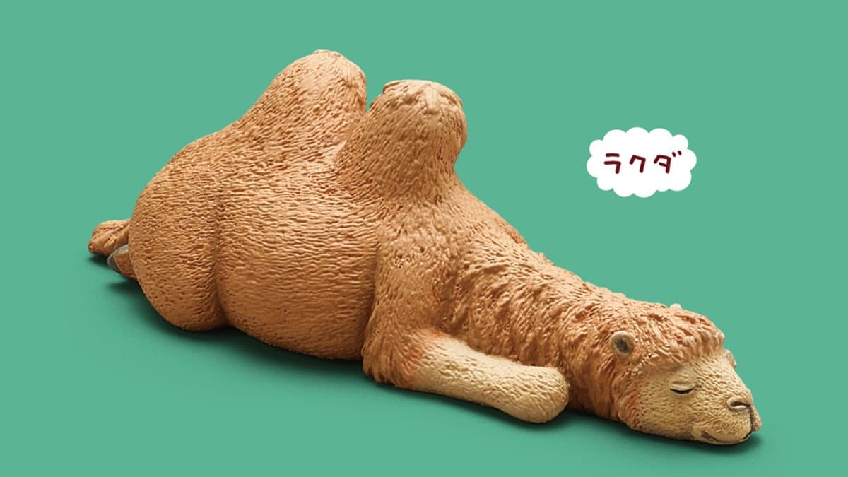 好想跟著睡!最新「休眠動物園公仔」,熊貓之穴派出豬豬、駱駝表演厭世睡 好想跟著睡!最新「休眠動物園公仔」,熊貓之穴派出豬豬、駱駝表演厭世睡