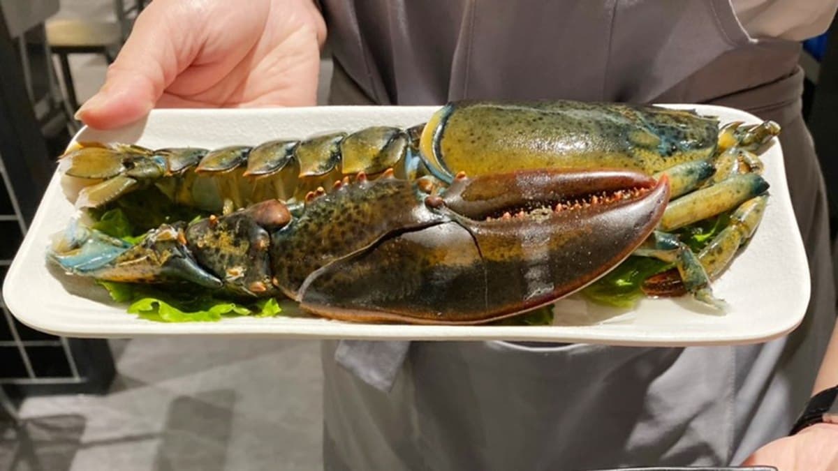 波士頓龍蝦、鮑魚188元!「祥富水產」二代店在新北,夜貓族加碼送大干貝 波士頓龍蝦、鮑魚188元!「祥富水產」二代店在新北,夜貓族加碼送大干貝