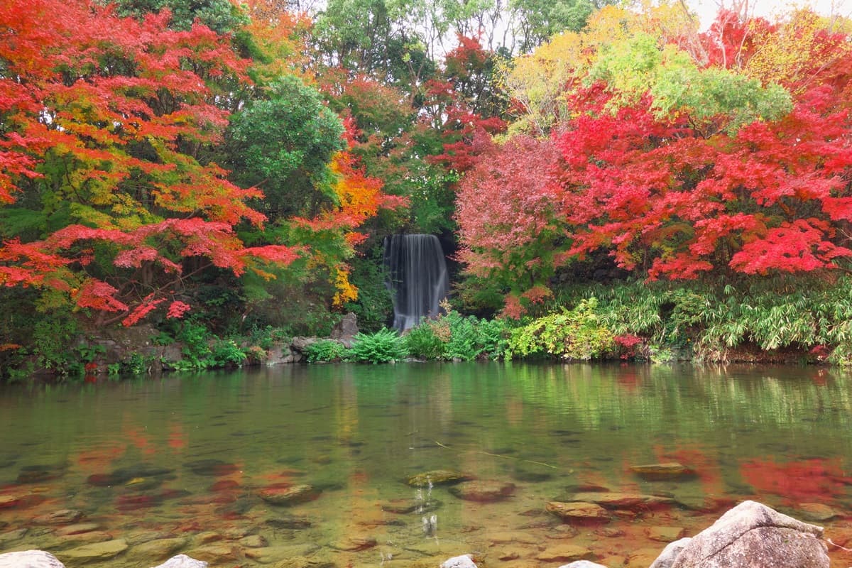不輸京都!大阪秋天限定7祕境:星之鞦韆、楓紅不倒翁、浪漫金黃大道 不輸京都!大阪秋天限定7祕境:星之鞦韆、楓紅不倒翁、浪漫金黃大道