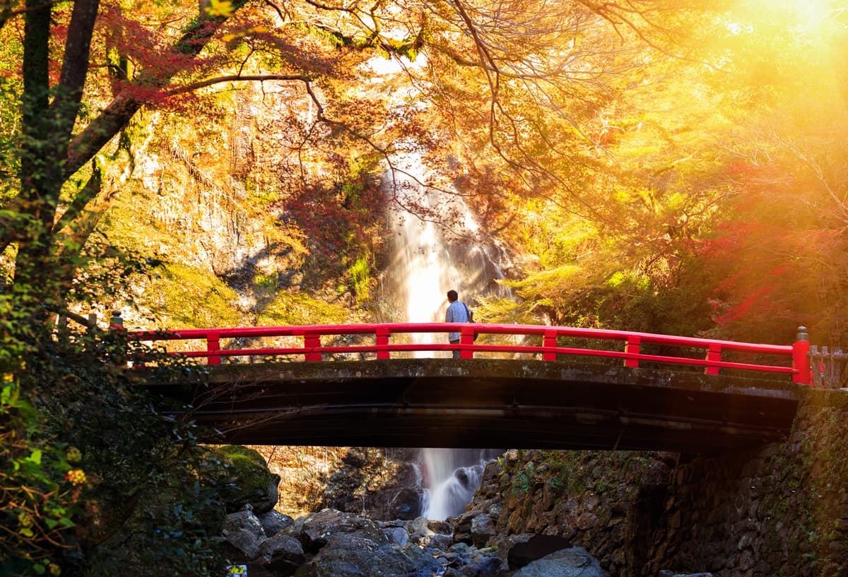 不輸京都!大阪秋天限定7祕境:星之鞦韆、楓紅不倒翁、浪漫金黃大道 不輸京都!大阪秋天限定7祕境:星之鞦韆、楓紅不倒翁、浪漫金黃大道
