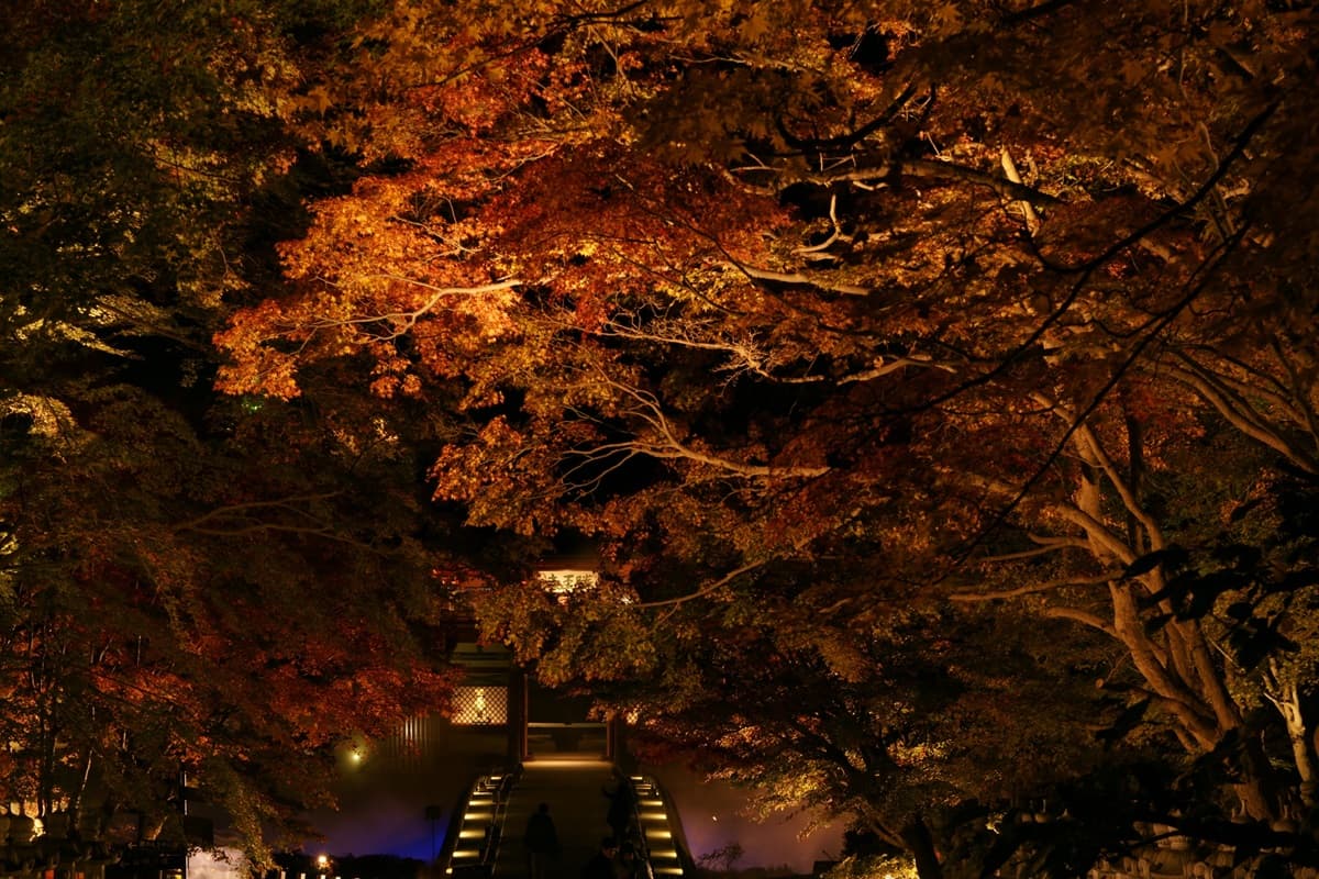 不輸京都!大阪秋天限定7祕境:星之鞦韆、楓紅不倒翁、浪漫金黃大道 不輸京都!大阪秋天限定7祕境:星之鞦韆、楓紅不倒翁、浪漫金黃大道