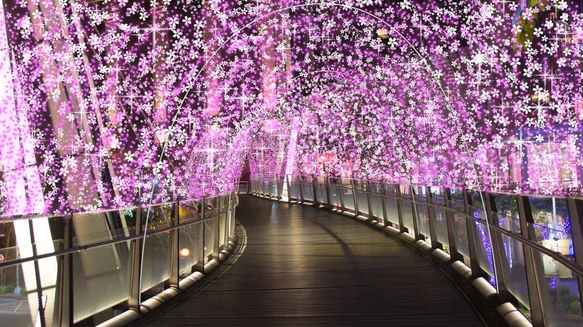 新北耶誕城時間公布!必拍5亮點:「雙塔一樹」雷射光雕+8天橋打卡點 新北耶誕城時間公布!必拍5亮點:「雙塔一樹」雷射光雕+8天橋打卡點