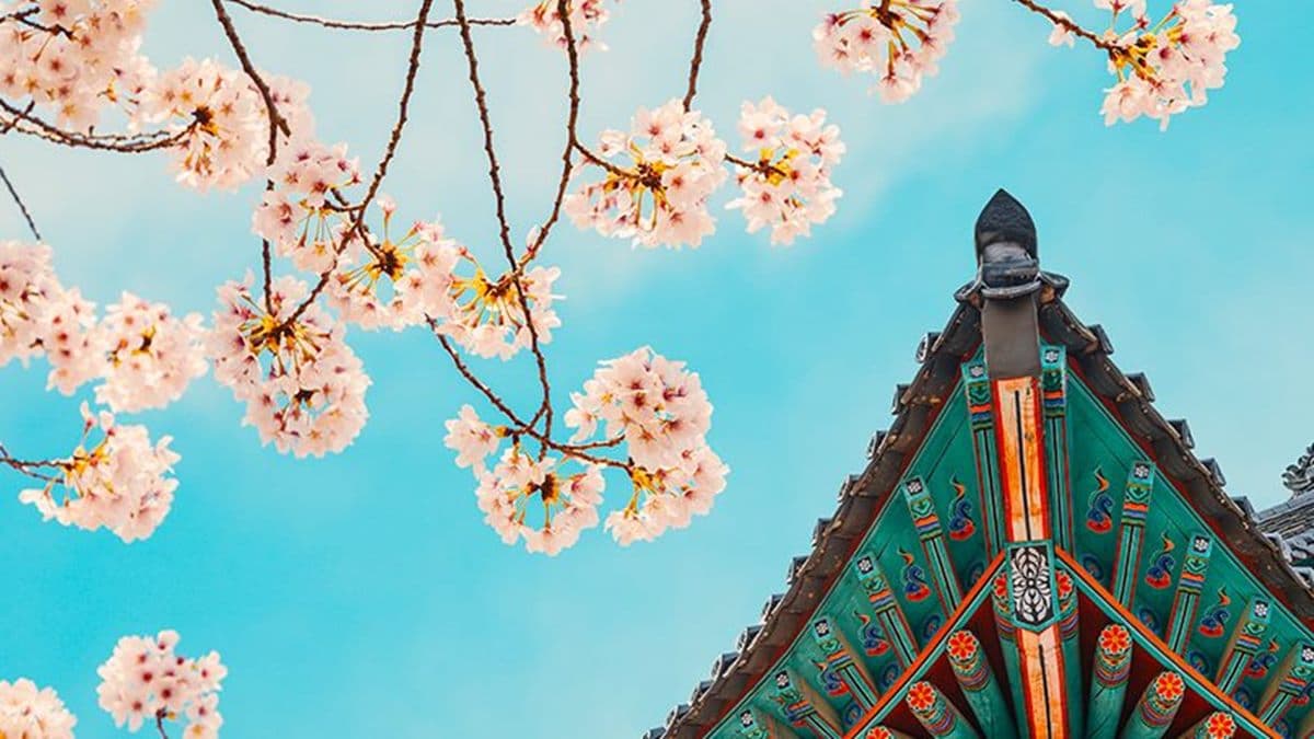 線上旅展機票先搶起來!衝明年到韓國賞櫻花囉,只要1,145元起 線上旅展機票先搶起來!衝明年到韓國賞櫻花囉,只要1,145元起