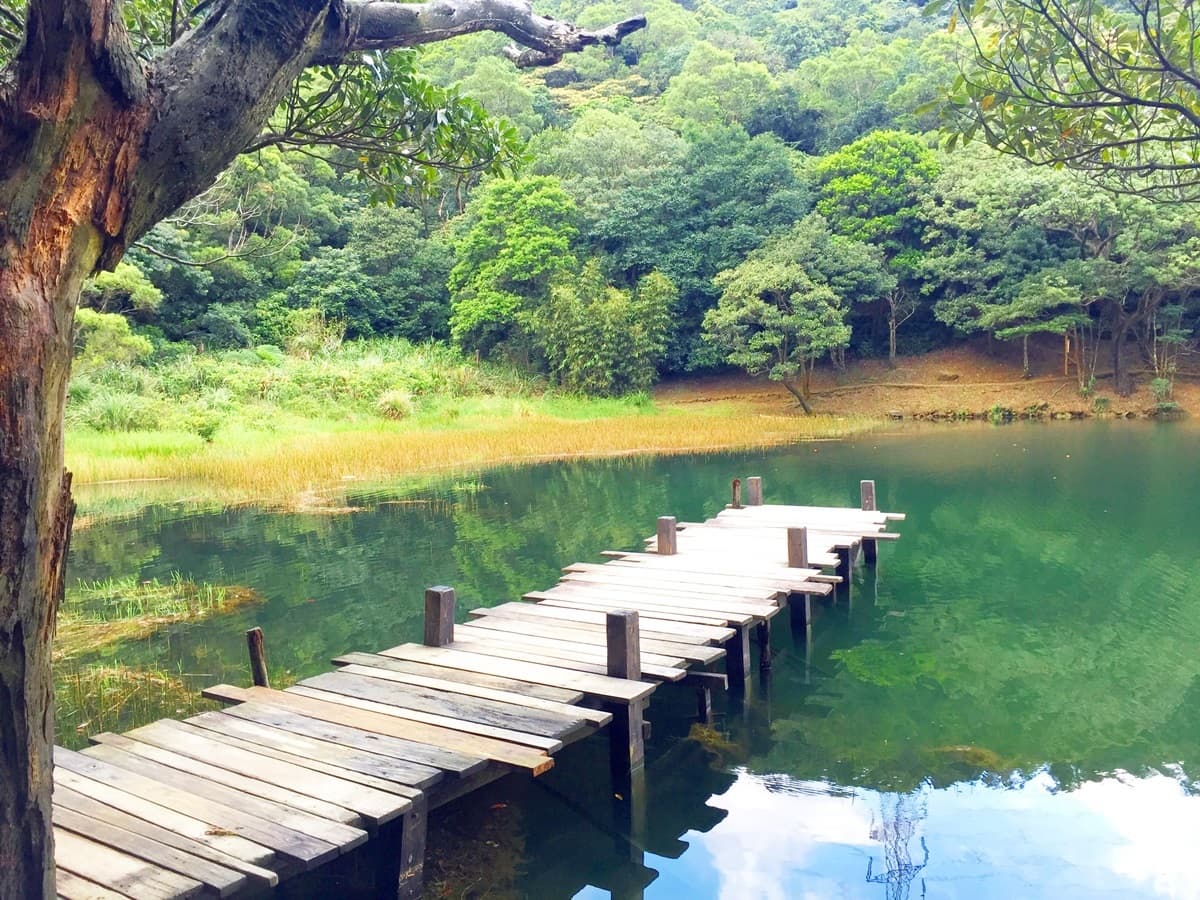 汐止新玩法!「台版小京都」美拍行程:楓紅拱橋、神隱隧道、仙境夢湖 汐止新玩法!「台版小京都」美拍行程:楓紅拱橋、神隱隧道、仙境夢湖