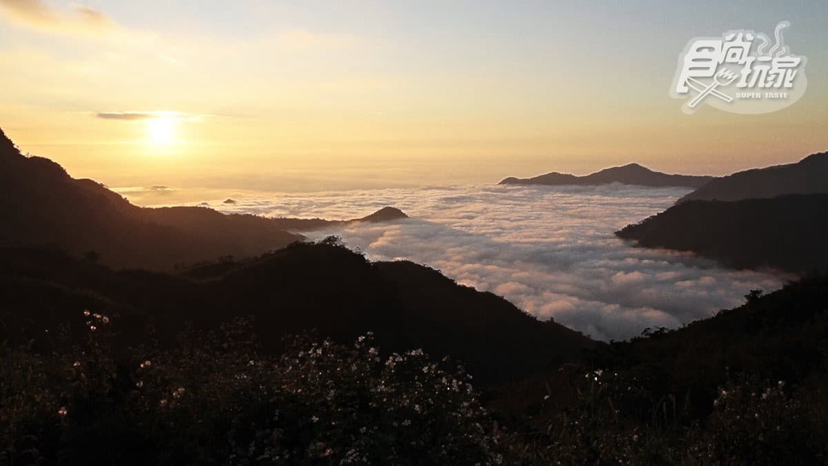 秋冬限定夢幻美景!北中南賞雲海6祕境→第2個景點還有金黃銀杏林 秋冬限定夢幻美景!北中南賞雲海6祕境→第2個景點還有金黃銀杏林