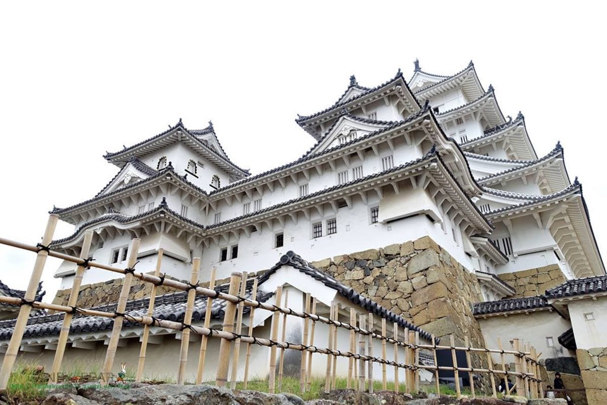 在地人激推!日本必訪「世界遺產」5+1,今年最新「古墳群」可搭私人飛機俯瞰 在地人激推!日本必訪「世界遺產」5+1,今年最新「古墳群」可搭私人飛機俯瞰