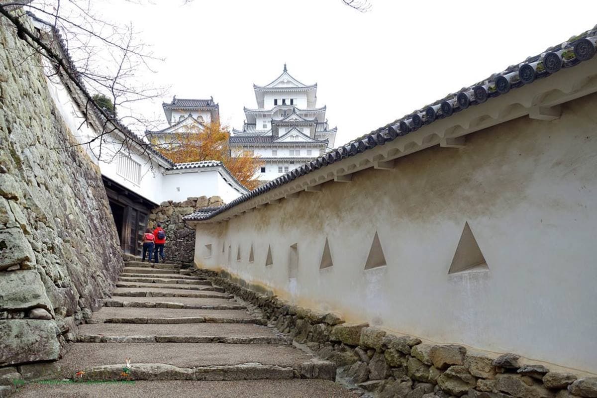 在地人激推!日本必訪「世界遺產」5+1,今年最新「古墳群」可搭私人飛機俯瞰 在地人激推!日本必訪「世界遺產」5+1,今年最新「古墳群」可搭私人飛機俯瞰