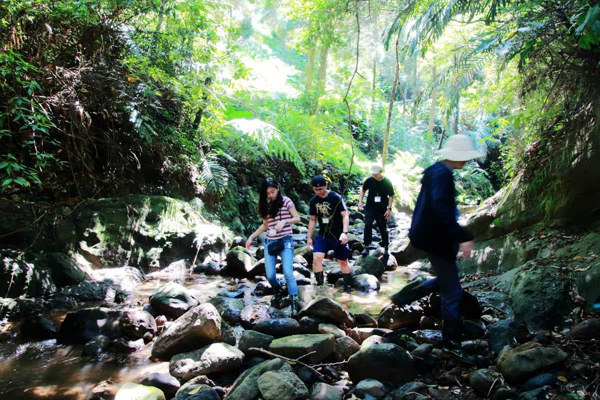 祕境瀑布要主人帶路才能到,苗栗與世隔絕農場裡種了神奇「綠寶石」 祕境瀑布要主人帶路才能到,苗栗與世隔絕農場裡種了神奇「綠寶石」