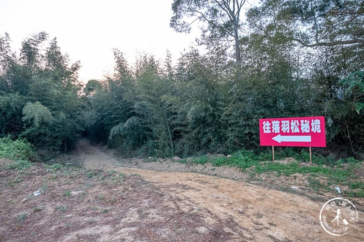 打卡魔幻時刻!苗栗祕境莊園「漸層色落羽松」宛如水彩畫,最美拍攝點曝光 打卡魔幻時刻!苗栗祕境莊園「漸層色落羽松」宛如水彩畫,最美拍攝點曝光