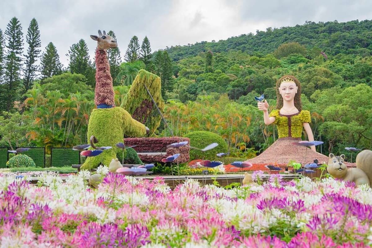 衝士林新花海!菊花造景變出五月天〈派對動物〉、周董〈爺爺泡的茶〉,18萬盆免費拍 衝士林新花海!菊花造景變出五月天〈派對動物〉、周董〈爺爺泡的茶〉,18萬盆免費拍