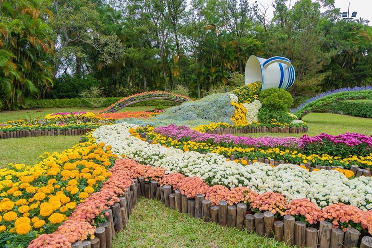 衝士林新花海!菊花造景變出五月天〈派對動物〉、周董〈爺爺泡的茶〉,18萬盆免費拍 衝士林新花海!菊花造景變出五月天〈派對動物〉、周董〈爺爺泡的茶〉,18萬盆免費拍