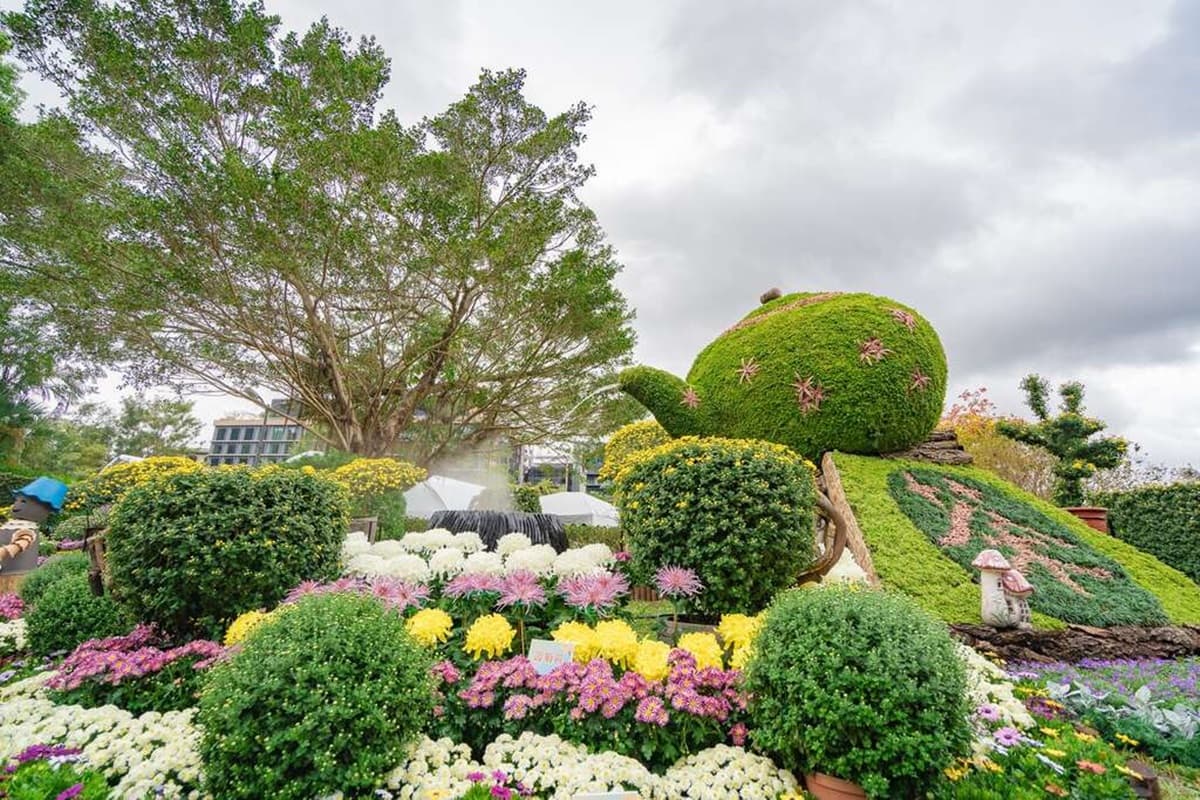 衝士林新花海!菊花造景變出五月天〈派對動物〉、周董〈爺爺泡的茶〉,18萬盆免費拍 衝士林新花海!菊花造景變出五月天〈派對動物〉、周董〈爺爺泡的茶〉,18萬盆免費拍