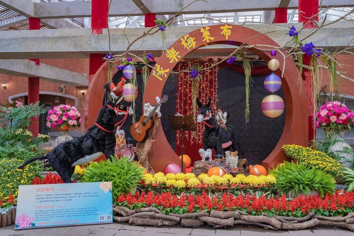 衝士林新花海!菊花造景變出五月天〈派對動物〉、周董〈爺爺泡的茶〉,18萬盆免費拍 衝士林新花海!菊花造景變出五月天〈派對動物〉、周董〈爺爺泡的茶〉,18萬盆免費拍
