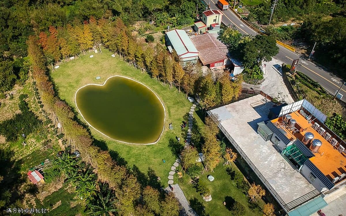 看這篇打卡!全台15處「漸層系」落羽松祕境開放追,必衝新開幕「摩天輪童話松林」 看這篇打卡!全台15處「漸層系」落羽松祕境開放追,必衝新開幕「摩天輪童話松林」