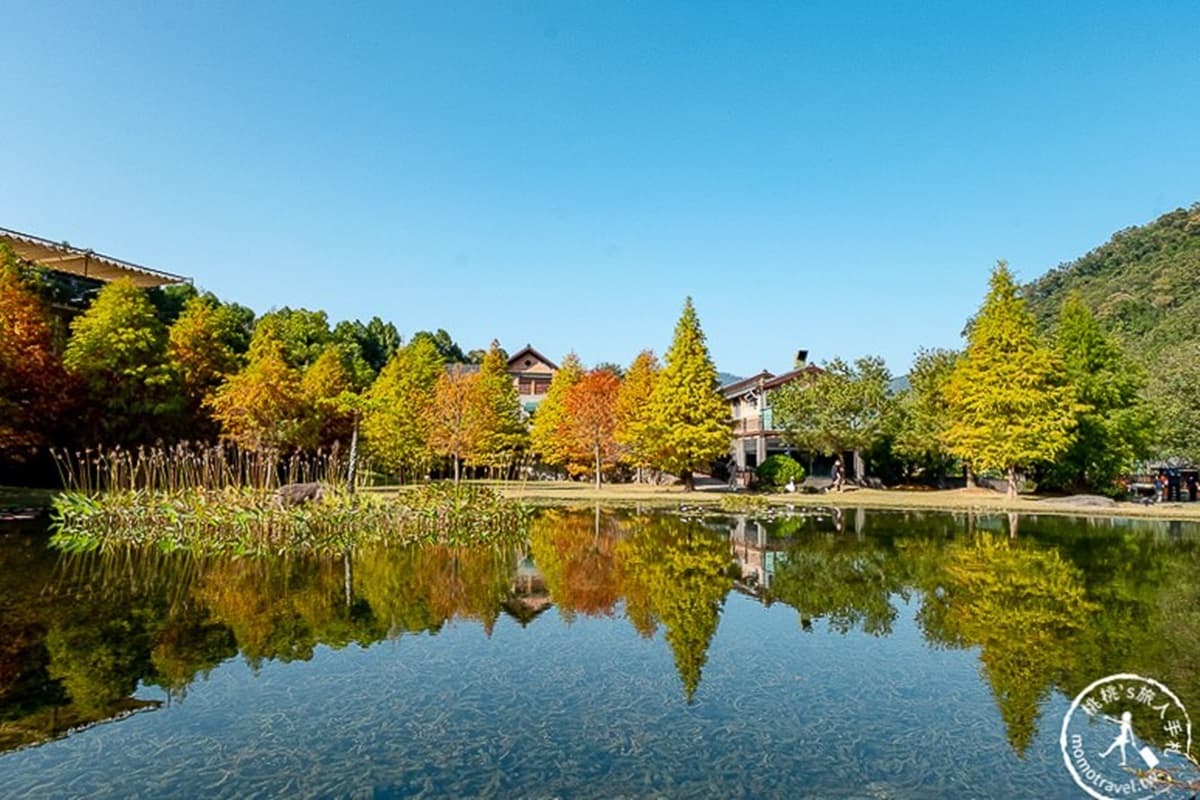 看這篇打卡!全台15處「漸層系」落羽松祕境開放追,必衝新開幕「摩天輪童話松林」 看這篇打卡!全台15處「漸層系」落羽松祕境開放追,必衝新開幕「摩天輪童話松林」