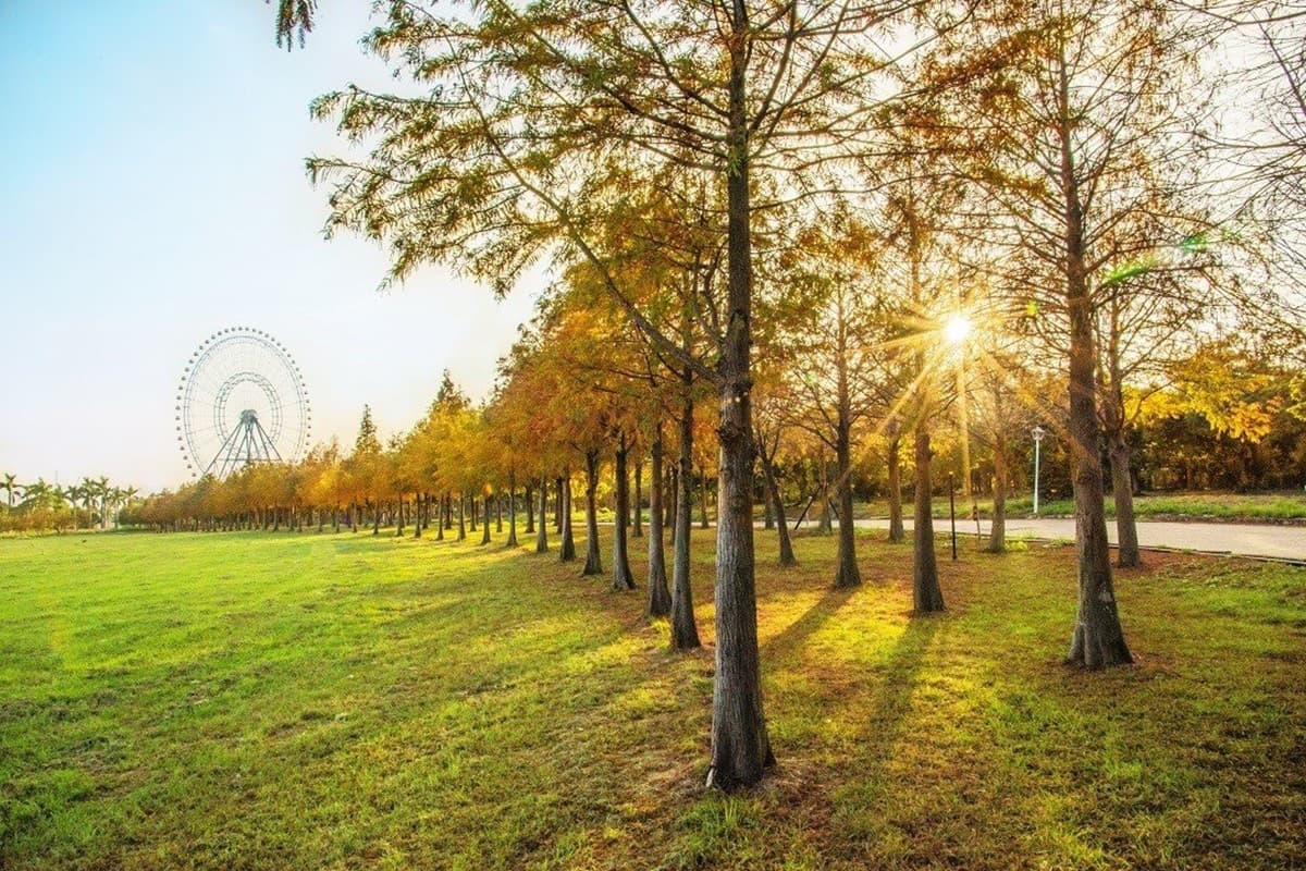 看這篇打卡!全台15處「漸層系」落羽松祕境開放追,必衝新開幕「摩天輪童話松林」 看這篇打卡!全台15處「漸層系」落羽松祕境開放追,必衝新開幕「摩天輪童話松林」