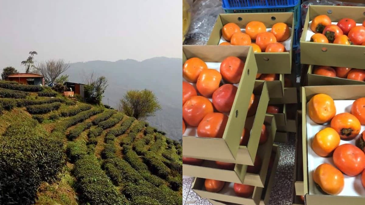泡湯賞美景!3個野溪溫泉祕境+順遊:全台唯一溫泉瀑布、潑墨山水岩壁 泡湯賞美景!3個野溪溫泉祕境+順遊:全台唯一溫泉瀑布、潑墨山水岩壁