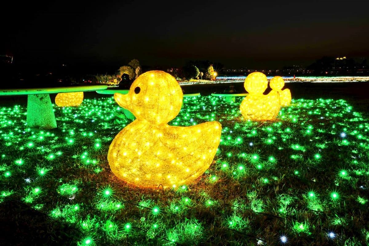 拍美照囉!三重鴨鴨公園光雕秀超可愛,還能玩3.5公尺「鴨鴨溜滑梯」 拍美照囉!三重鴨鴨公園光雕秀超可愛,還能玩3.5公尺「鴨鴨溜滑梯」