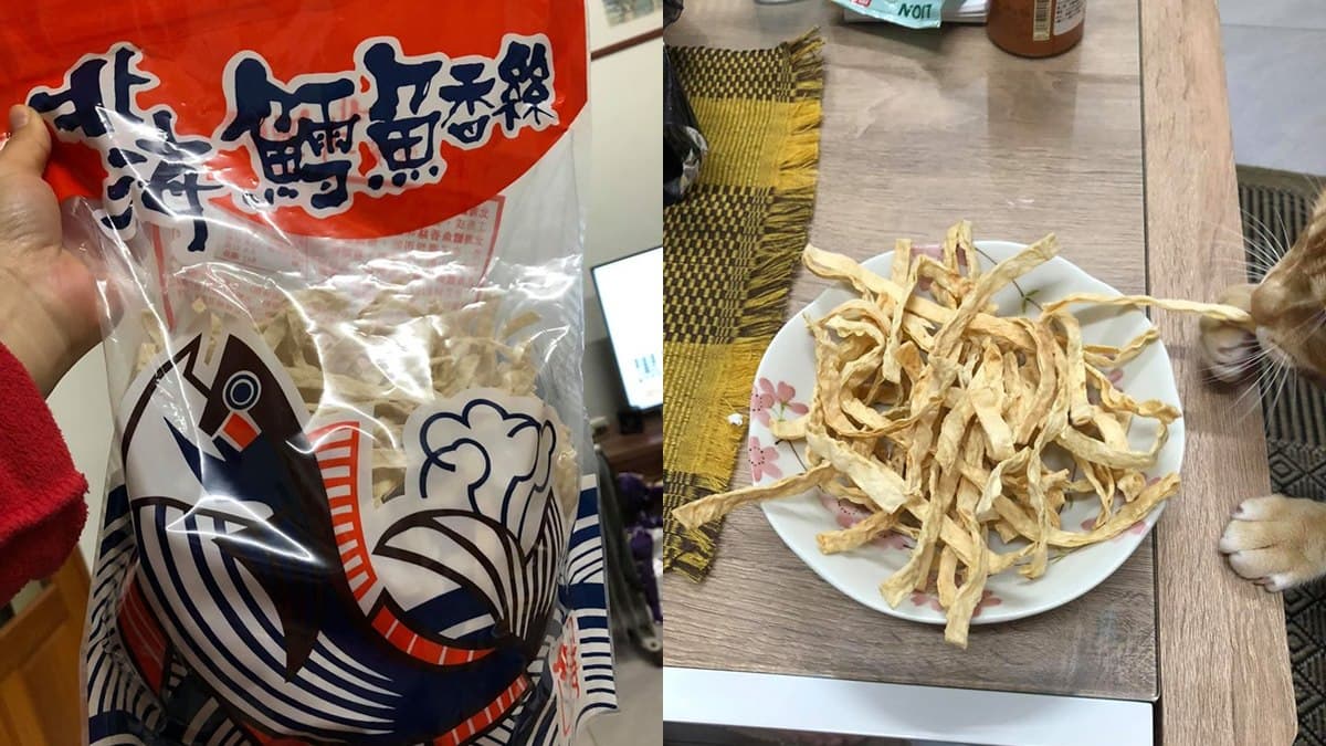 連貓皇都搶吃!網曝古早味「鱈魚香絲」丟氣炸鍋,釣出「鱈魚紅片」也超無敵 連貓皇都搶吃!網曝古早味「鱈魚香絲」丟氣炸鍋,釣出「鱈魚紅片」也超無敵
