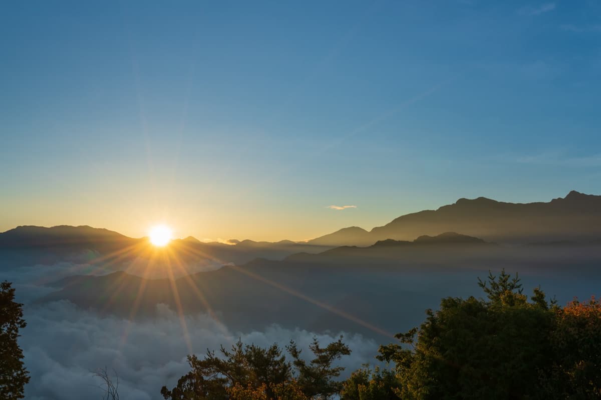 森林步道走春去!16個國家森林遊樂區不打烊,阿里山還有免費接駁車 森林步道走春去!16個國家森林遊樂區不打烊,阿里山還有免費接駁車