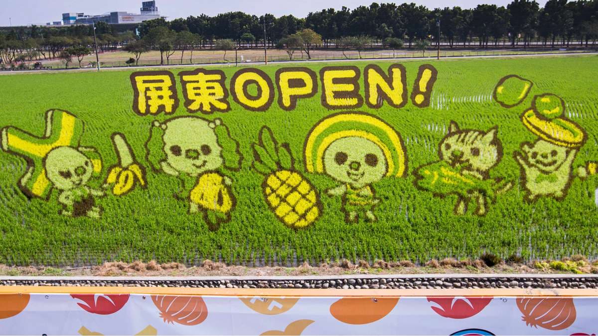 彩色稻子畫出「OPEN小將」,2020農博免費入場,拍花海、採果、玩DIY