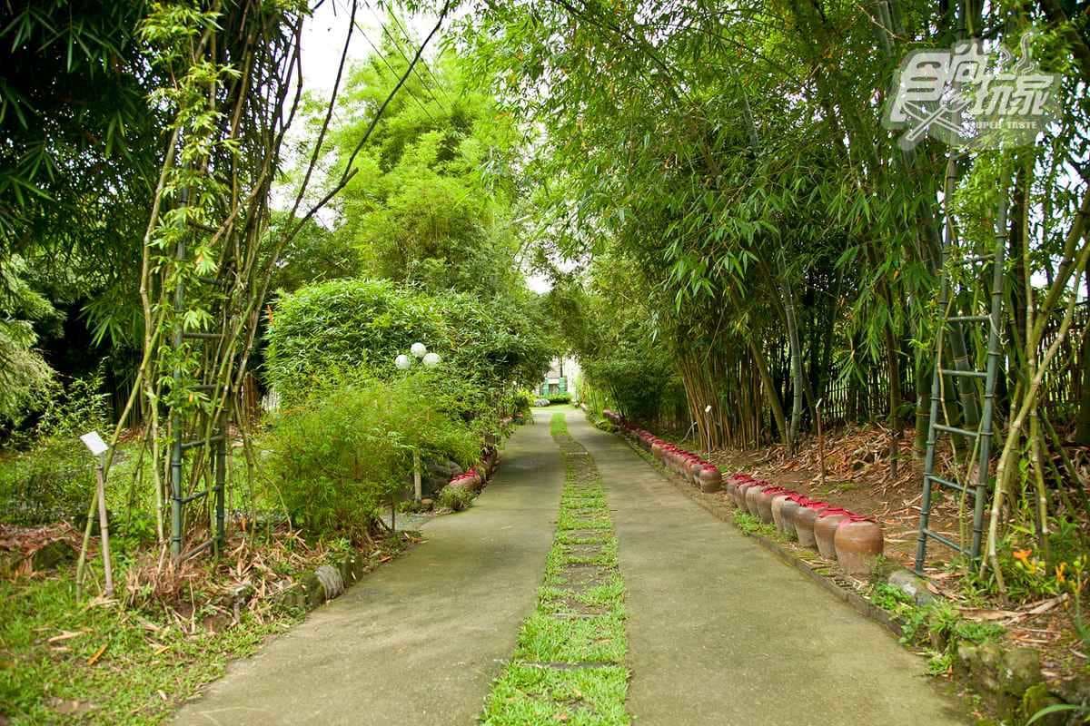 春節祈福小旅行!大公街求發財金、吃國宴美食,順遊3D彩繪海盜村、觀星森林 春節祈福小旅行!大公街求發財金、吃國宴美食,順遊3D彩繪海盜村、觀星森林
