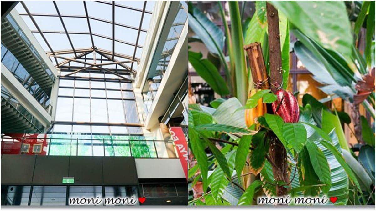 戲迷回味!桃園5個偶像劇美拍場景:彩虹花海、水晶教堂,還能餵草泥馬、穿宮廷服 戲迷回味!桃園5個偶像劇美拍場景:彩虹花海、水晶教堂,還能餵草泥馬、穿宮廷服
