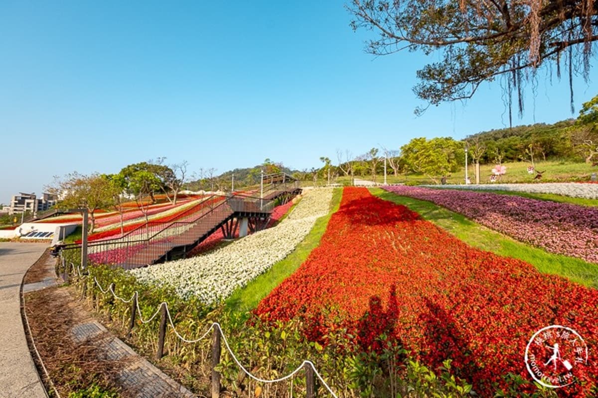 台北新祕境「富良野花海」!北投三層崎「9萬盆漸層花」滾滿山坡,最佳拍攝點曝光 台北新祕境「富良野花海」!北投三層崎「9萬盆漸層花」滾滿山坡,最佳拍攝點曝光