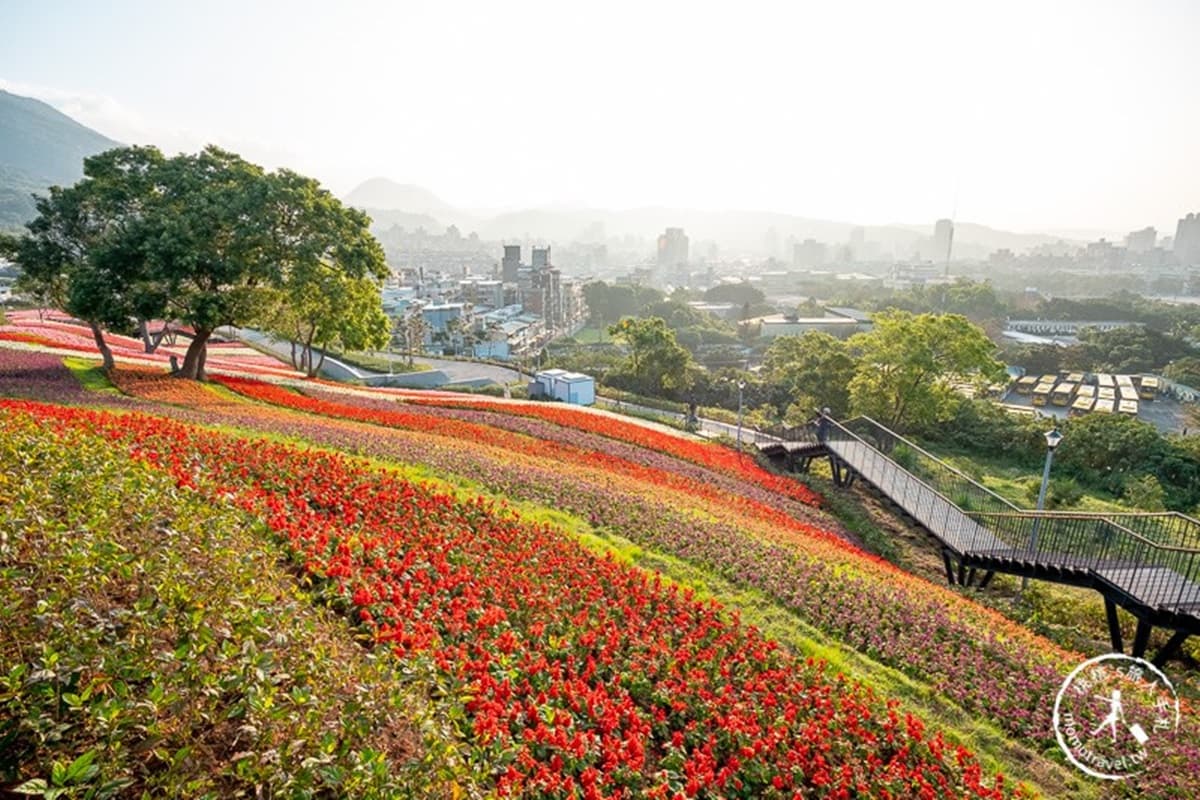 台北新祕境「富良野花海」!北投三層崎「9萬盆漸層花」滾滿山坡,最佳拍攝點曝光 台北新祕境「富良野花海」!北投三層崎「9萬盆漸層花」滾滿山坡,最佳拍攝點曝光