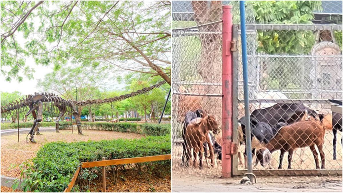 小孩放電首選!台南親子6大打卡點:火箭溜滑梯、貨櫃滑草坡、化石尋寶 小孩放電首選!台南親子6大打卡點:火箭溜滑梯、貨櫃滑草坡、化石尋寶