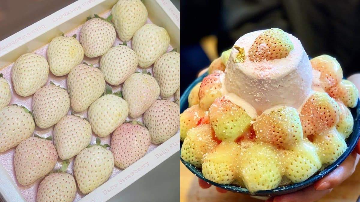 一天限量10碗!台南夯店獨家推「雪兔白草莓冰」,還有「神奇版芋泥冰」超浮誇 一天限量10碗!台南夯店獨家推「雪兔白草莓冰」,還有「神奇版芋泥冰」超浮誇