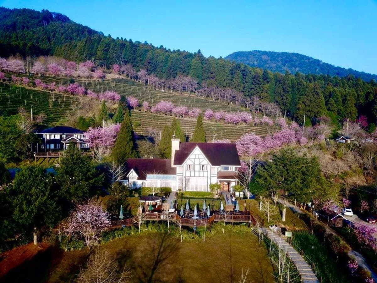 宮崎駿級「粉紅小鎮」在新竹!藏在深山的「祕境櫻花季」開跑,雲海+日出超美 宮崎駿級「粉紅小鎮」在新竹!藏在深山的「祕境櫻花季」開跑,雲海+日出超美