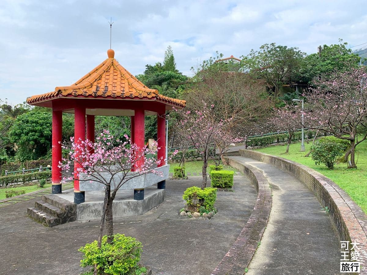 烏來賞櫻2祕境!三色櫻大道、寒櫻涼亭超好拍,還能順遊燕子湖、80尺飛瀑 烏來賞櫻2祕境!三色櫻大道、寒櫻涼亭超好拍,還能順遊燕子湖、80尺飛瀑
