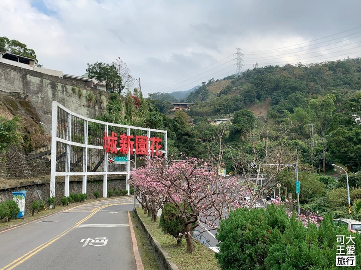 烏來賞櫻2祕境!三色櫻大道、寒櫻涼亭超好拍,還能順遊燕子湖、80尺飛瀑 烏來賞櫻2祕境!三色櫻大道、寒櫻涼亭超好拍,還能順遊燕子湖、80尺飛瀑
